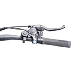 Carpat GB1 Electric Mountain Bike